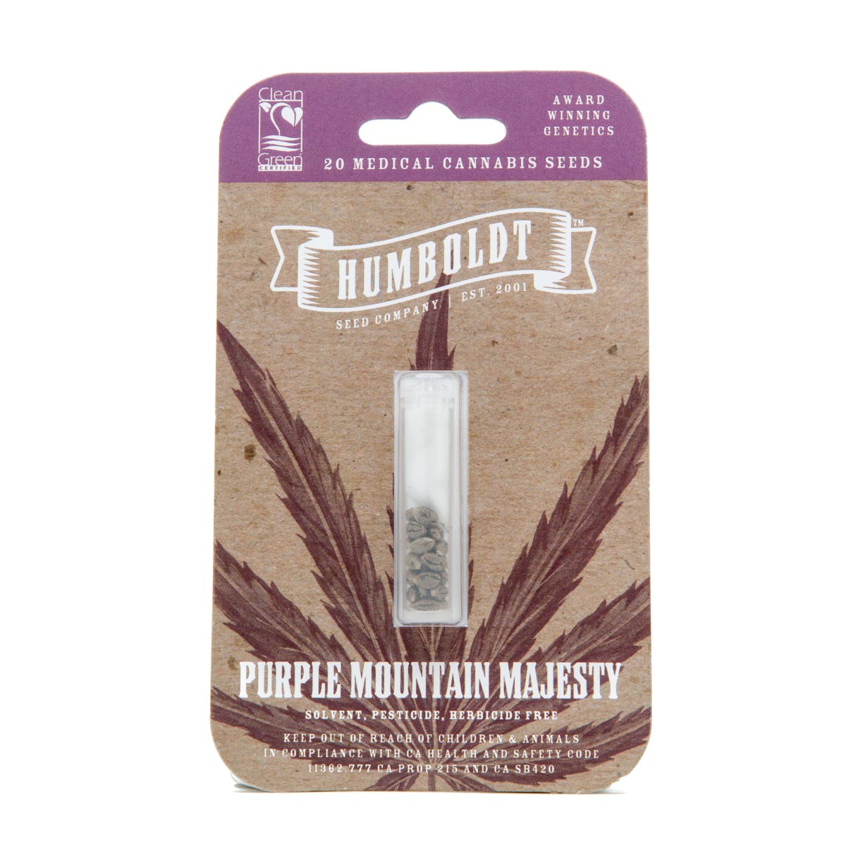 Purple Mountain Majesty Seeds
