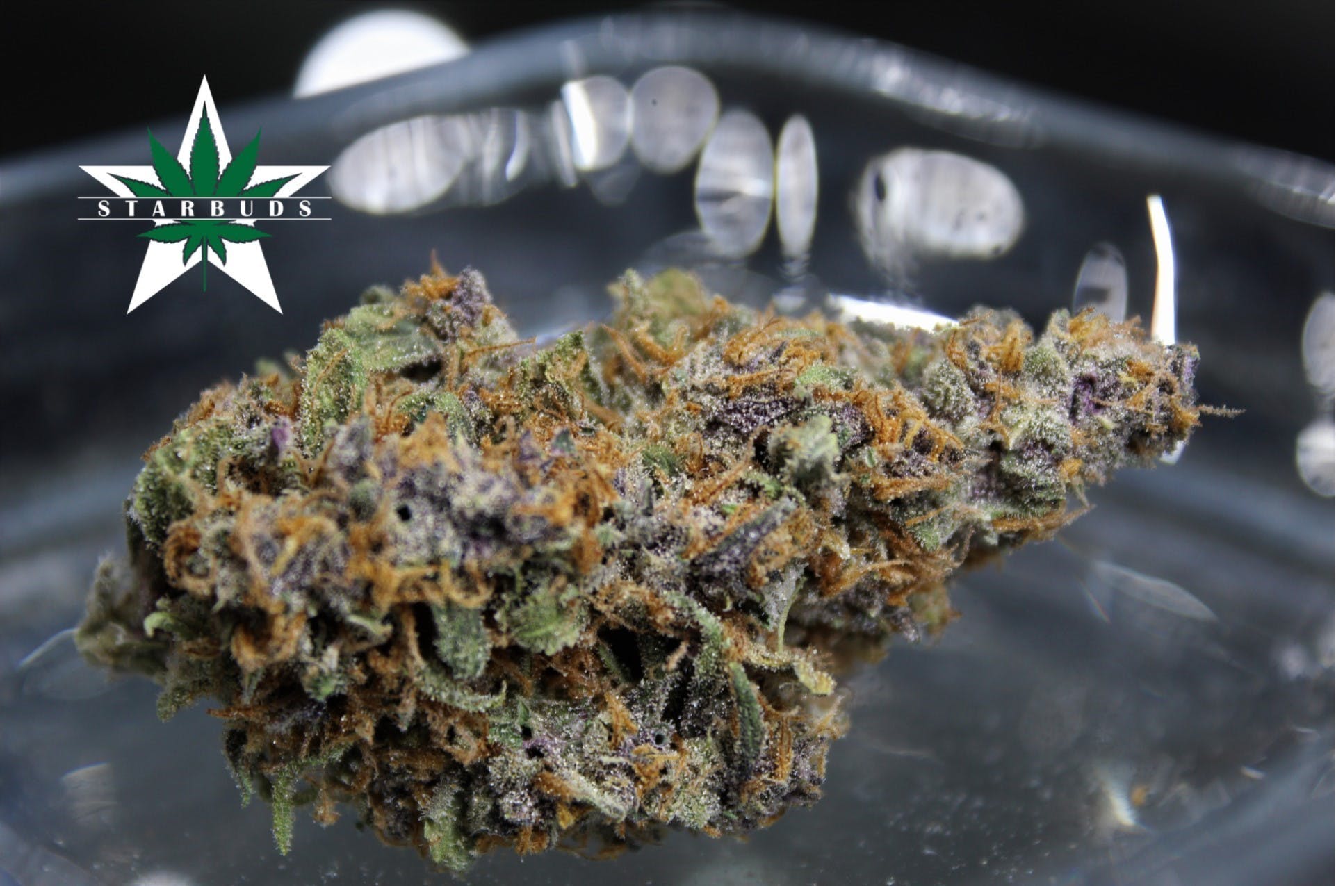 marijuana-dispensaries-5975-belair-rd-baltimore-purple-obeah