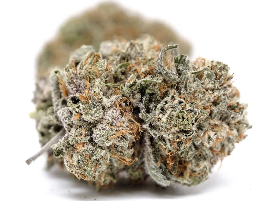 marijuana-dispensaries-238-king-st-east-hamilton-purple-og-5050