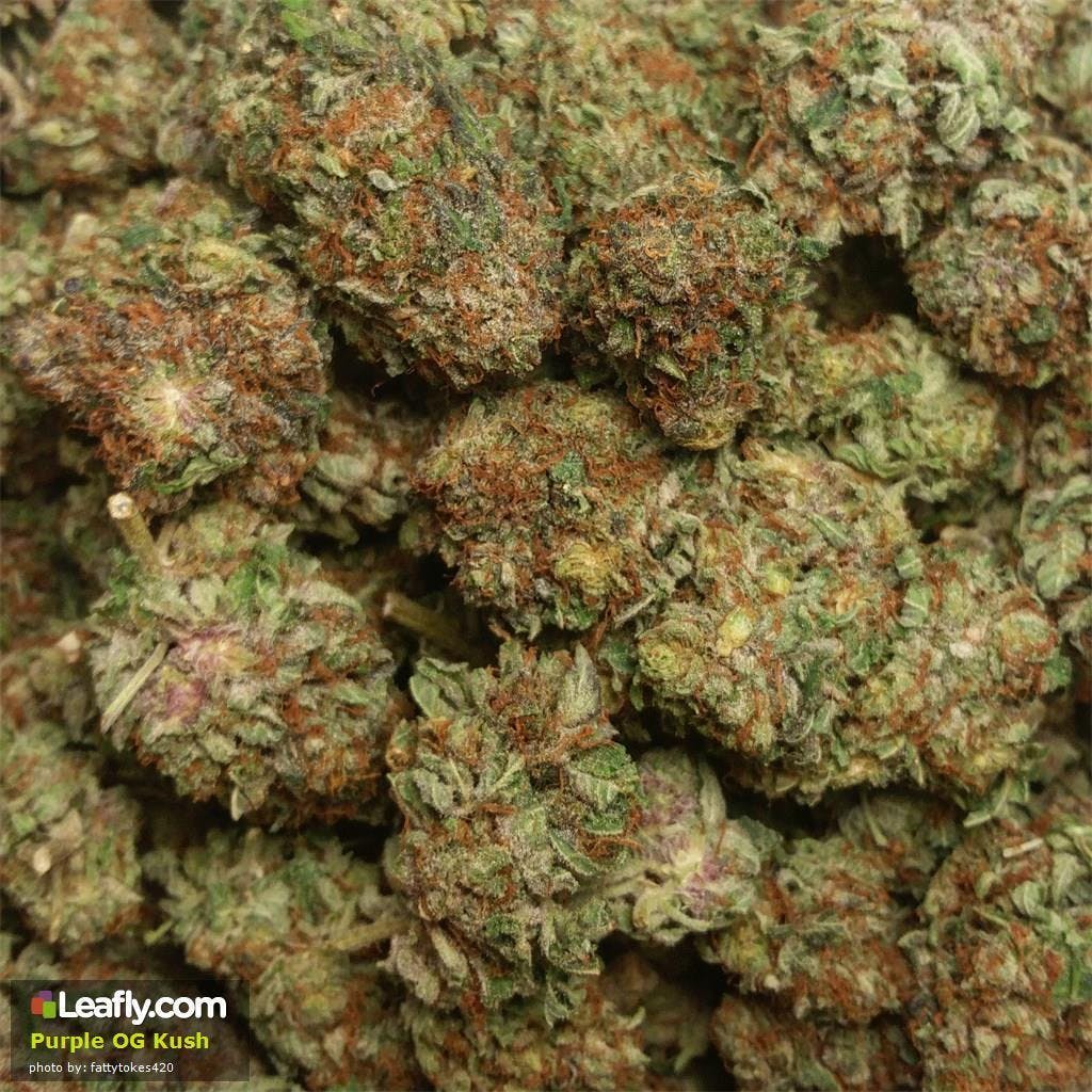 marijuana-dispensaries-984-s-manhattan-pl-los-angeles-purple-og-kush