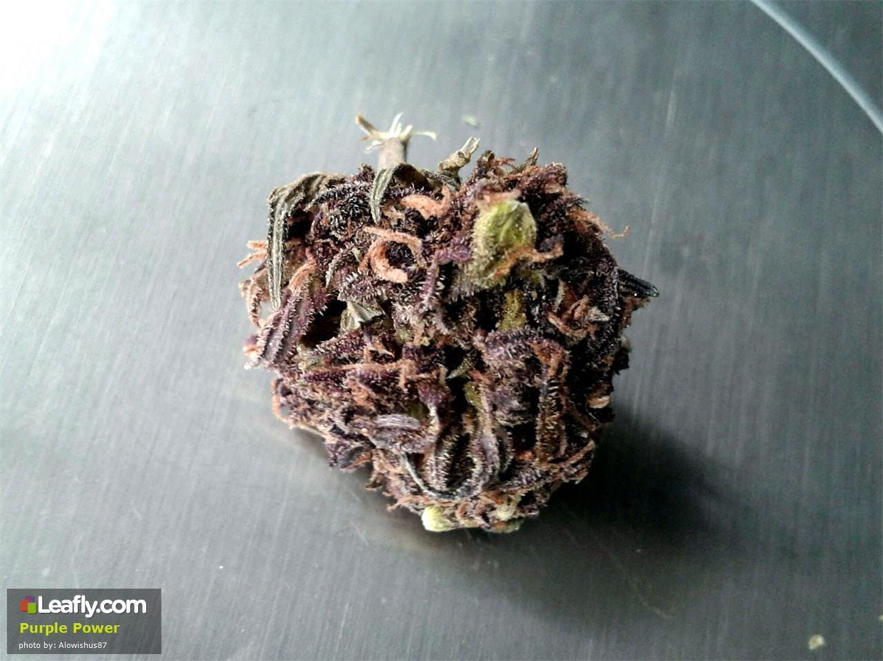 marijuana-dispensaries-984-s-manhattan-pl-los-angeles-purple-power