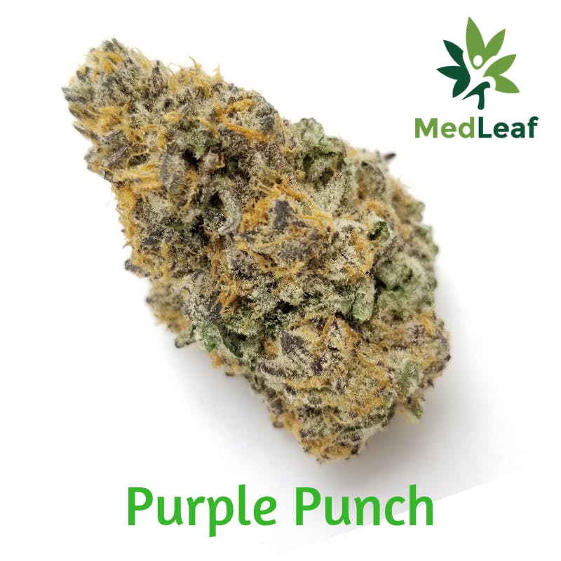 Purple Punch - Curio (22.81%)