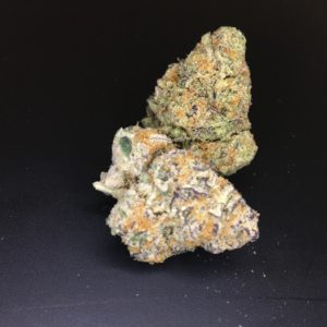Purple Punch Exclusive
