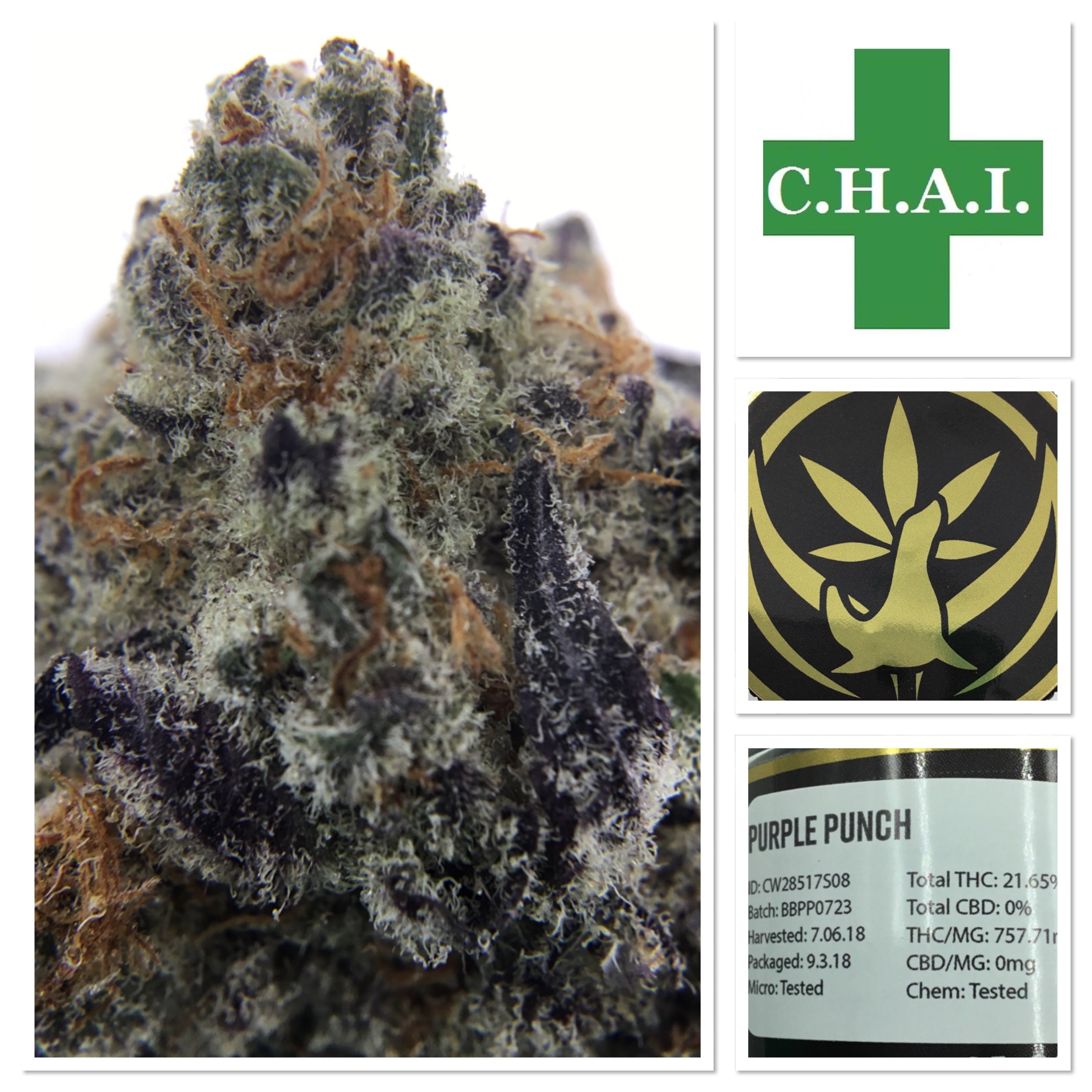 Purple Punch (Gold Seal)