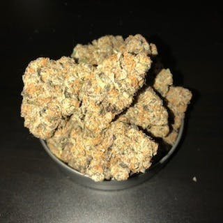 PURPLE PUNCH *SPECIAL 5G FOR $40*