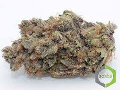 marijuana-dispensaries-13659-magnolia-ave-corona-purple-rain-premium-5g-40-2420