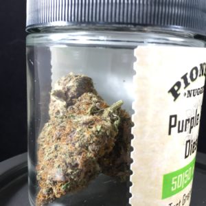 Purple Sour Diesel by Pioneer Nuggets