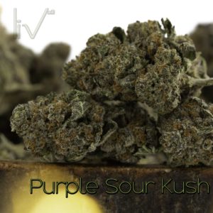 Purple Sour Kush Hybrid Indica