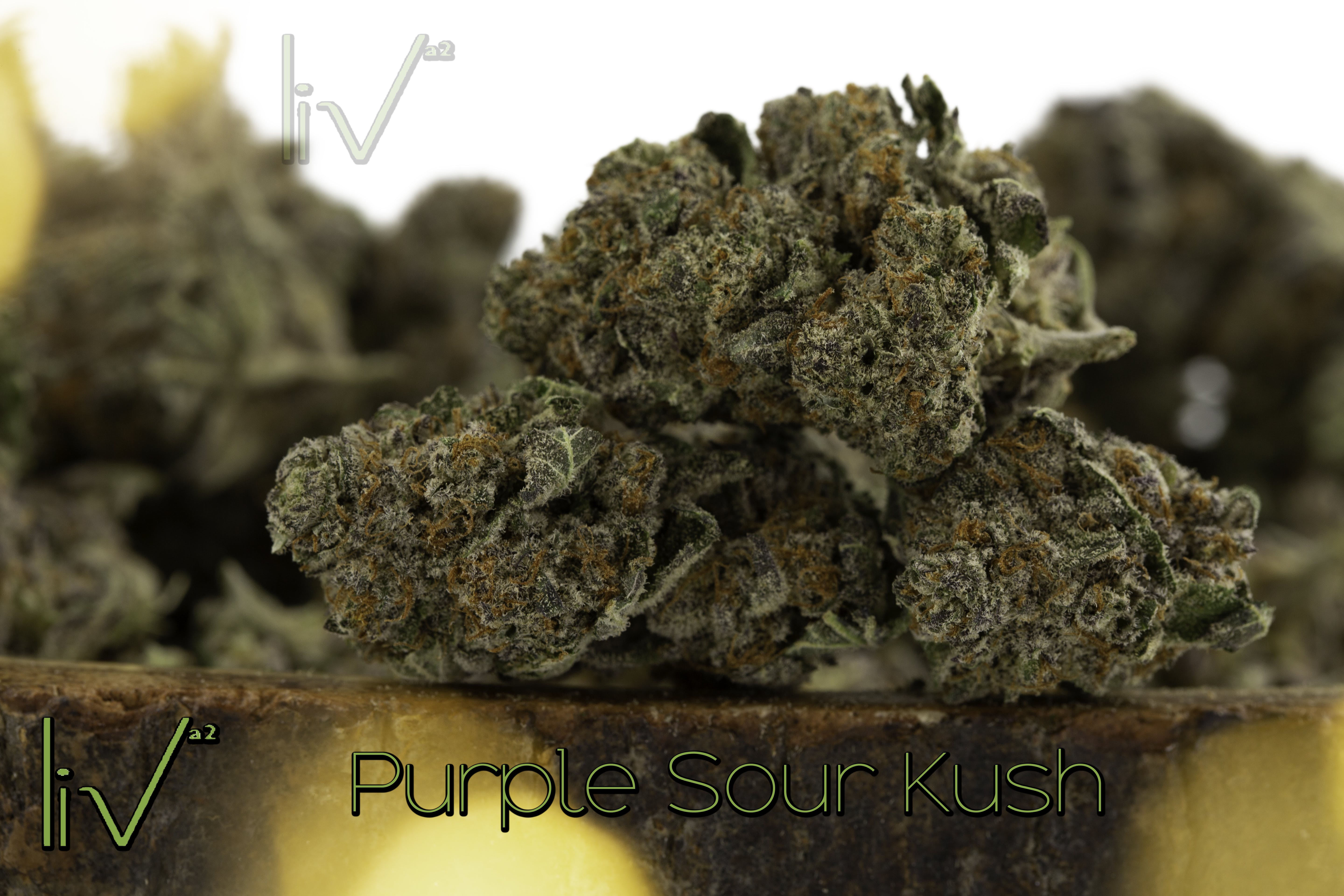 marijuana-dispensaries-603-e-william-st-ann-arbor-purple-sour-kush-hybrid-indica