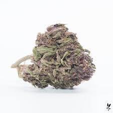marijuana-dispensaries-3428-long-beach-blvd-long-beach-purple-urkel