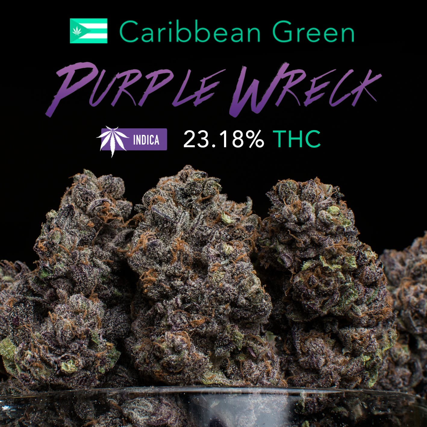 Purple Wreck (TOP) 23.18% THC