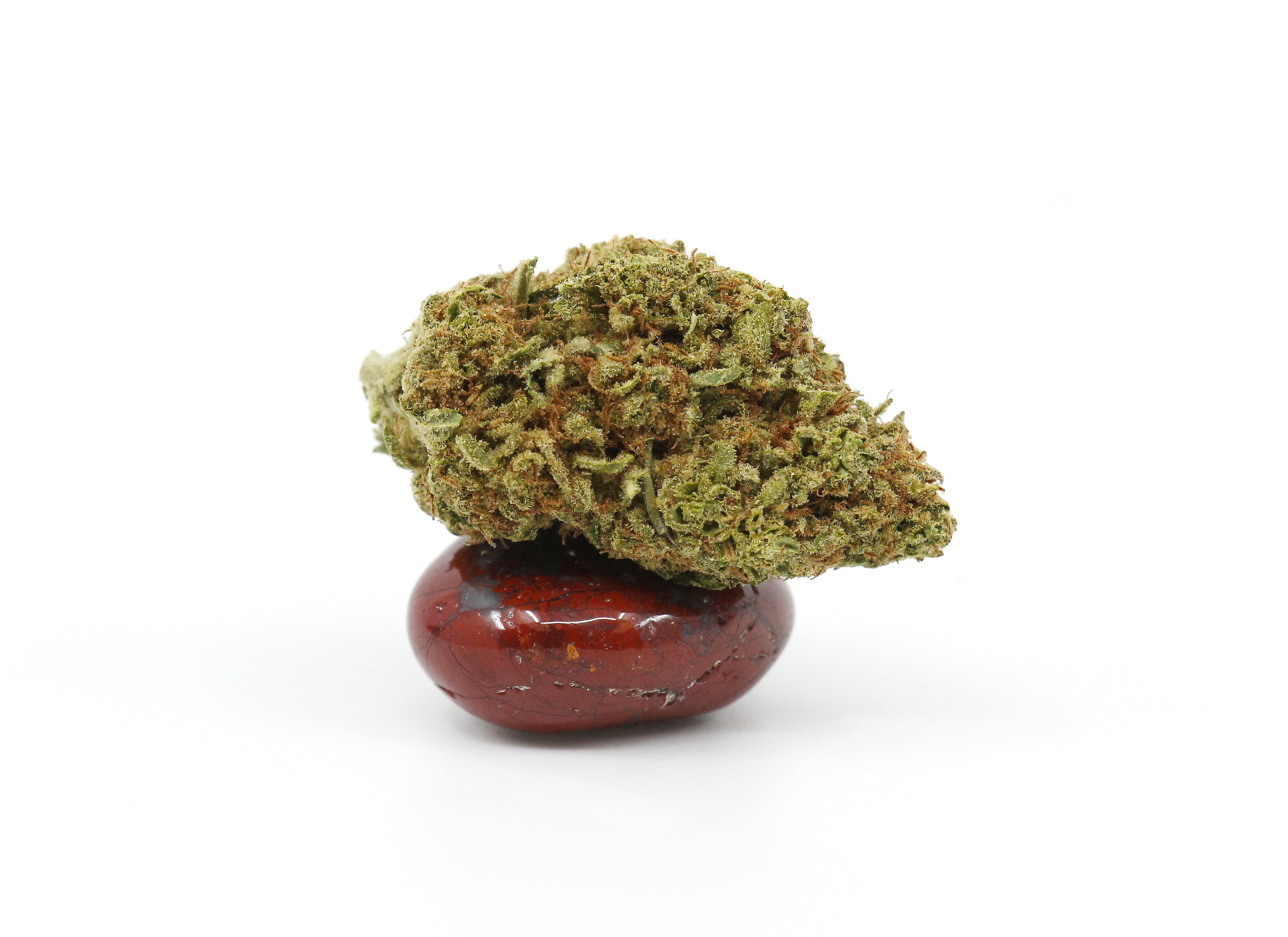 marijuana-dispensaries-mr-niceguy-state-st-in-salem-purps
