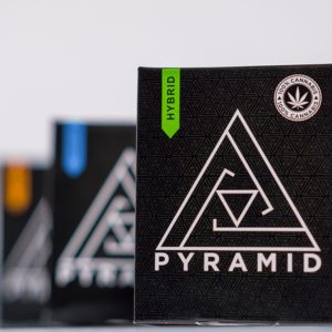 Pyramid 1g CO2 Oil Syringes