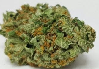 marijuana-dispensaries-3019-toupal-drive-trinidad-race-fuel-og-indica-22-00-25