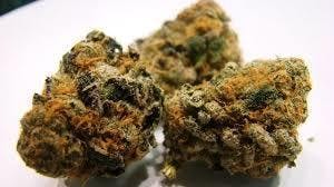 marijuana-dispensaries-5-leaves-in-wilmington-rainbow-sherbet