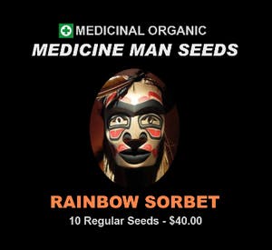 Rainbow Sorbet seeds - Medicine Man Seeds