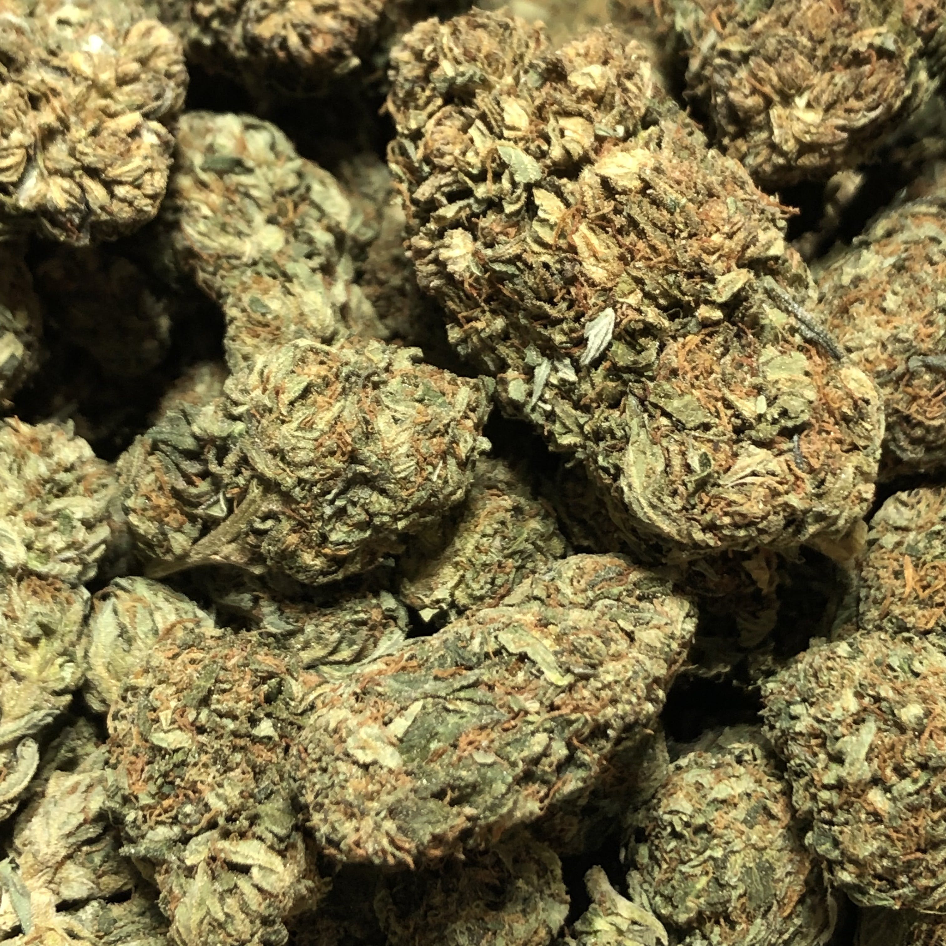 marijuana-dispensaries-boulder-botanics-med-in-boulder-rare-darkness