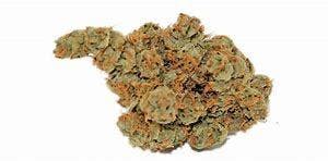 marijuana-dispensaries-harbor-high-meds-in-wilmington-raskal-o-g