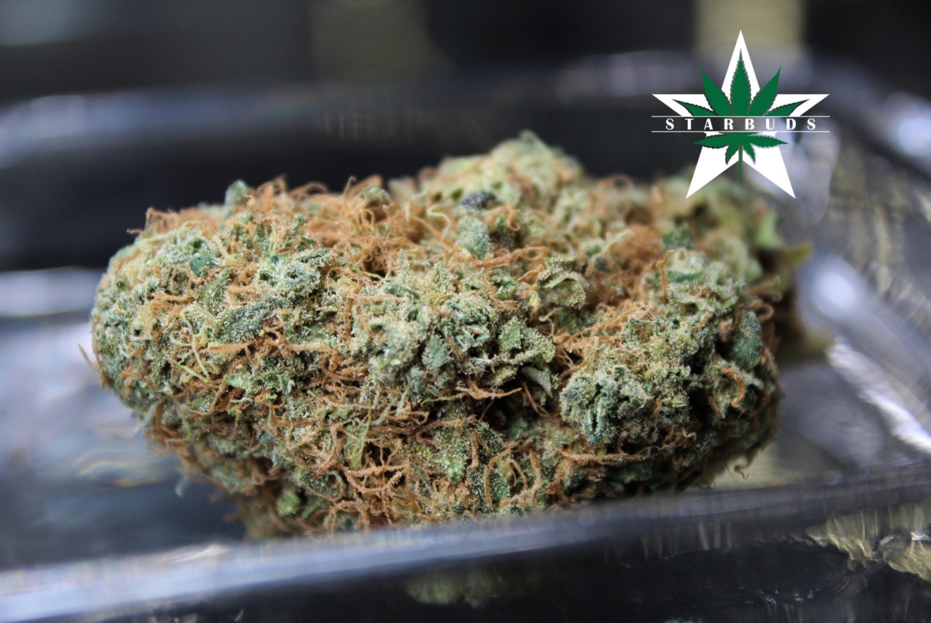 marijuana-dispensaries-5975-belair-rd-baltimore-ray-charles-premium