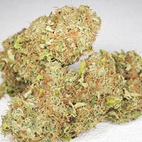 marijuana-dispensaries-elk-mountain-trading-post-retail-cannabis-in-debeque-ray-charles