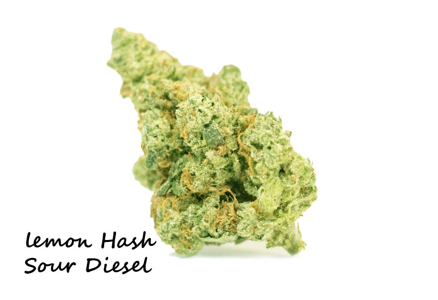 marijuana-dispensaries-10575-melody-dr-unit-102-northglenn-rec-bud-lemon-hash-sour-diesel