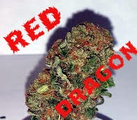 Recreational/ Red Dragon
