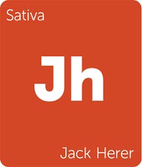 RED / 19:1 JACK HERER 72% THC | 5% CBD | Vireo