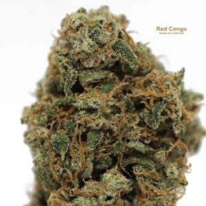 Red Congolese by Gold Seal SF
