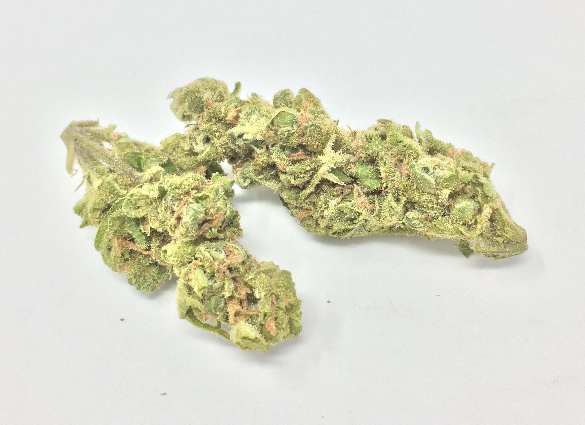 marijuana-dispensaries-306-f-street-eureka-redwood-roots-orange-creamsicle