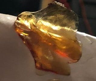 concentrate-revolution-1g-pull-and-snap-double-gorilla-og