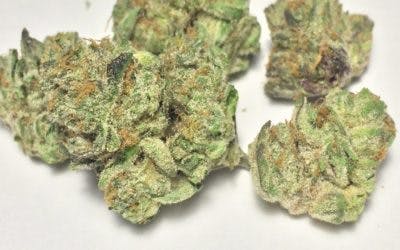 marijuana-dispensaries-6120-s-broadway-los-angeles-rick-ross-og