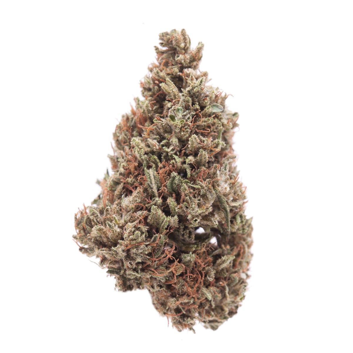marijuana-dispensaries-the-verdes-foundation-in-albuquerque-ringos-gift