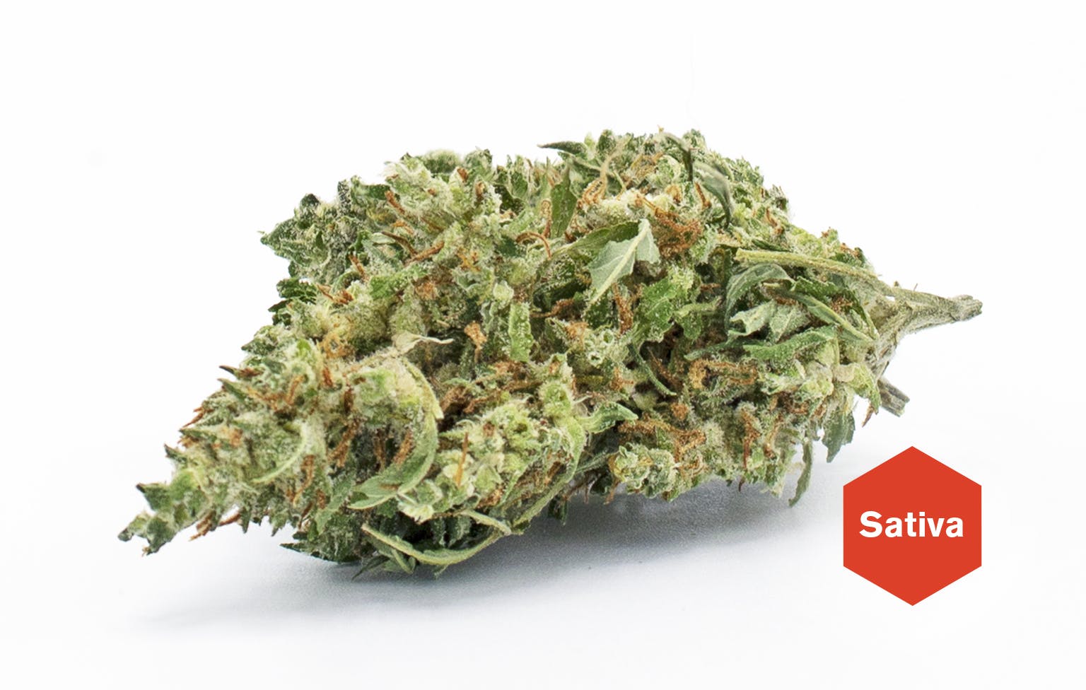 marijuana-dispensaries-1605-e-2nd-st-suite-23103-reno-rio-negro-colombian-swc