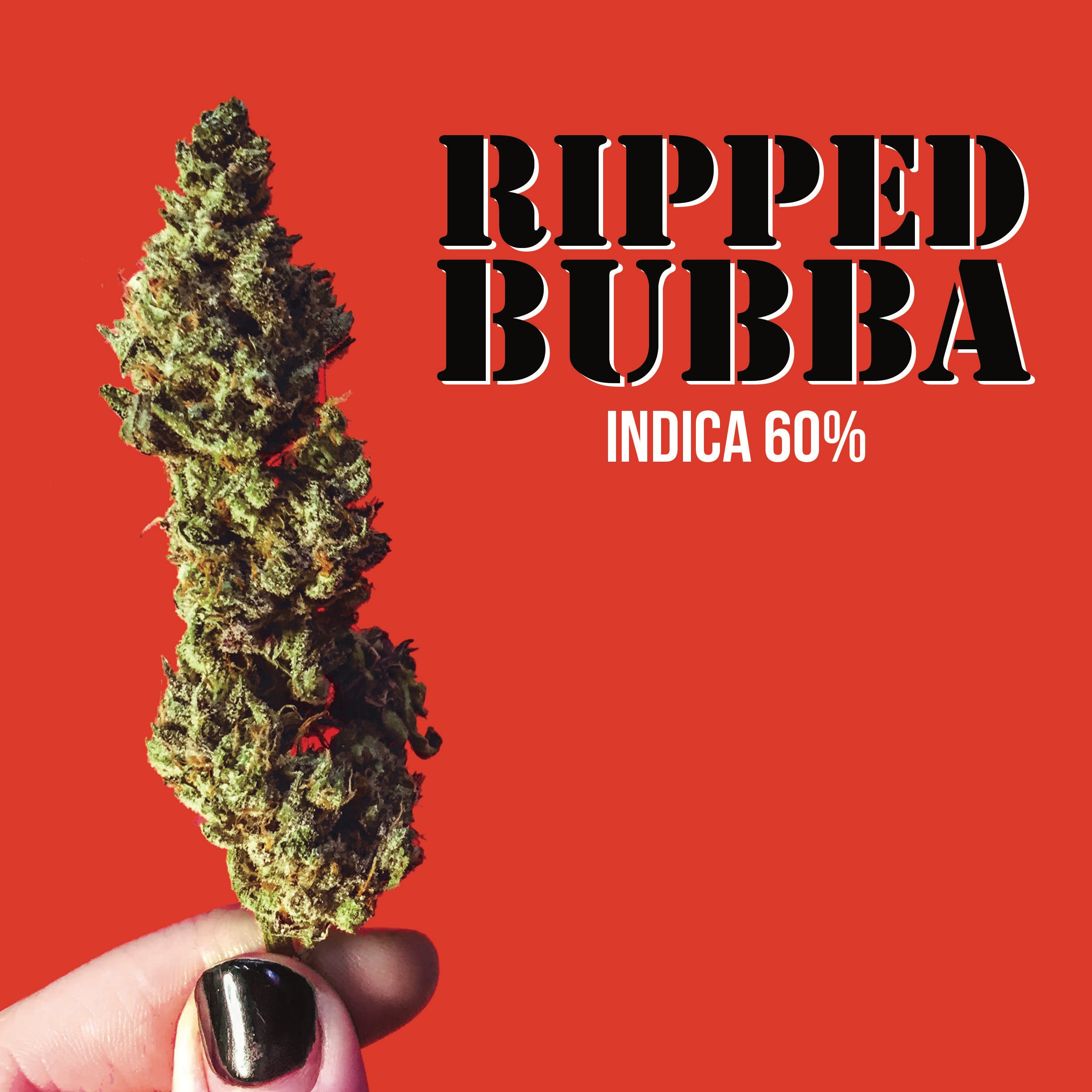 marijuana-dispensaries-2845-ore-mill-rd-unit-6-colorado-springs-ripped-bubba