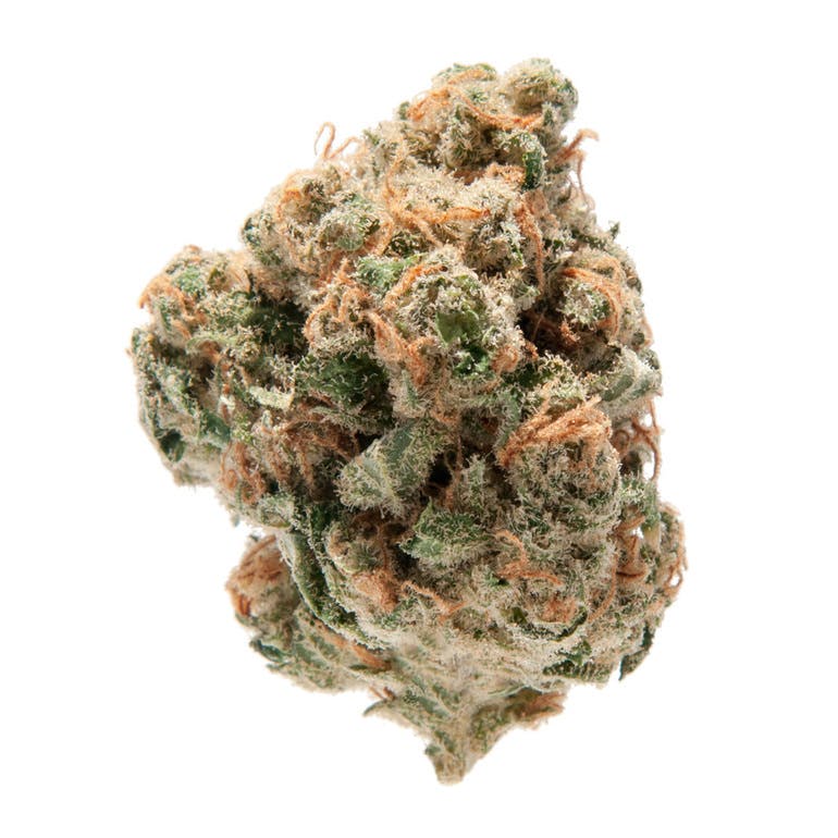 marijuana-dispensaries-2801-iris-ave-boulder-rise-n-shine