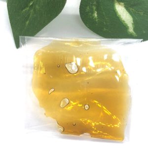 Rockstar Shatter by Cannabis Family