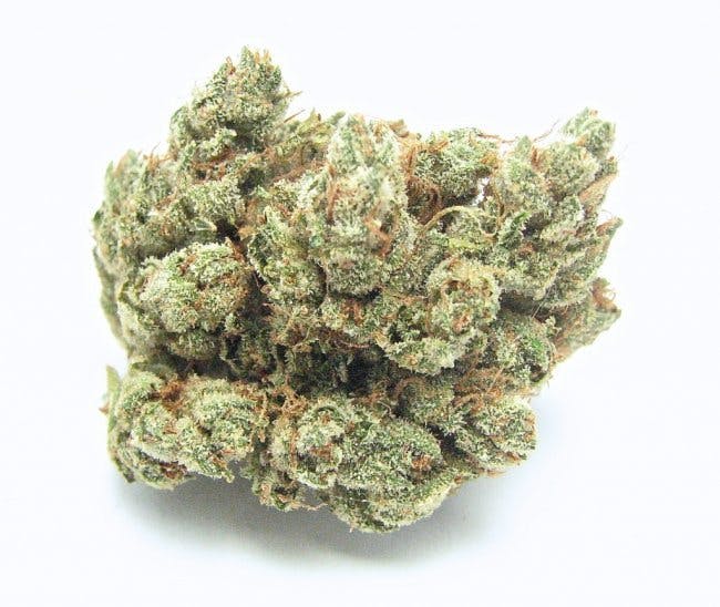 marijuana-dispensaries-9830-north-san-fernando-rd-pacoima-rolex-o-g