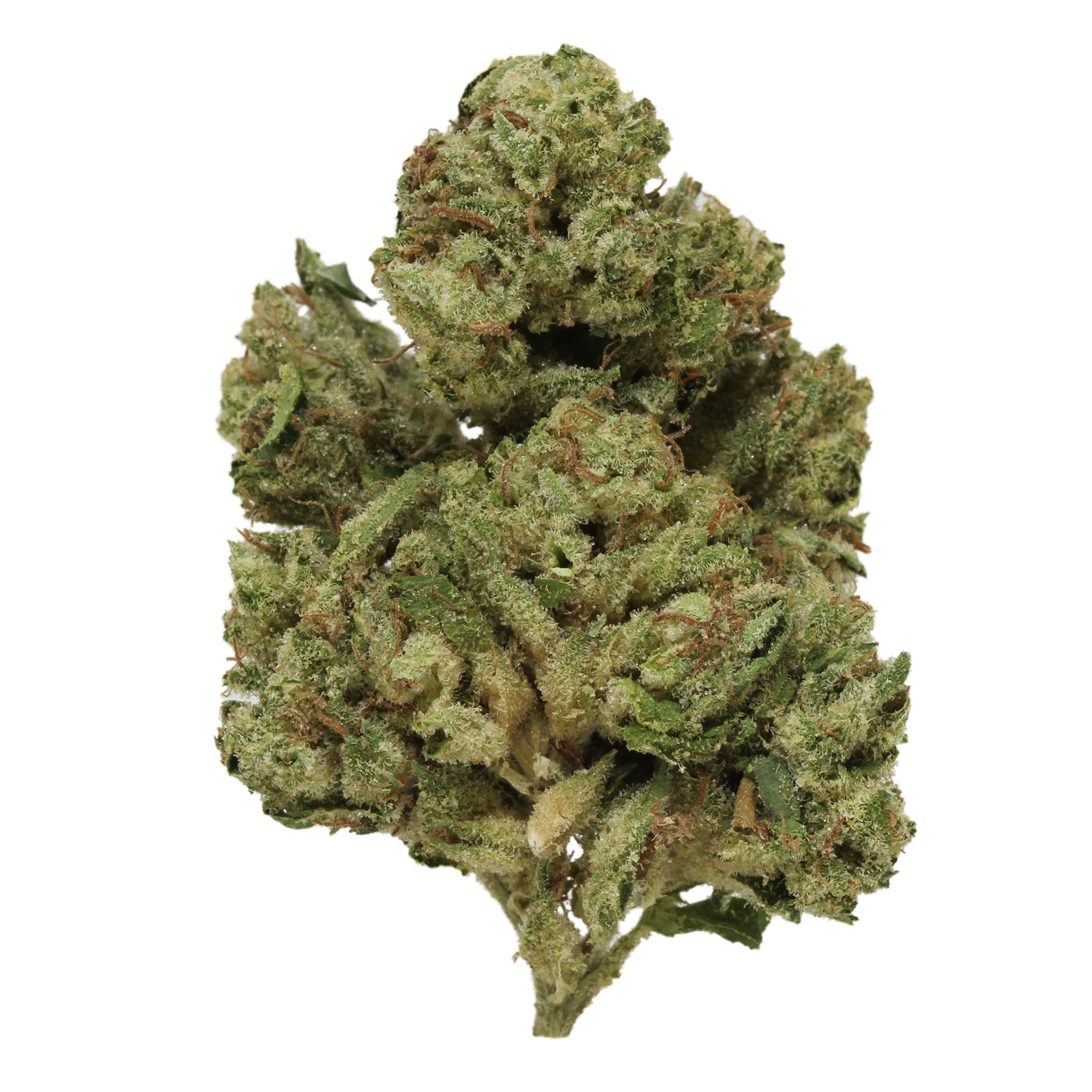 marijuana-dispensaries-49-kearny-street-2c-3rd-floor-san-francisco-roll-choice-by-willies-reserve