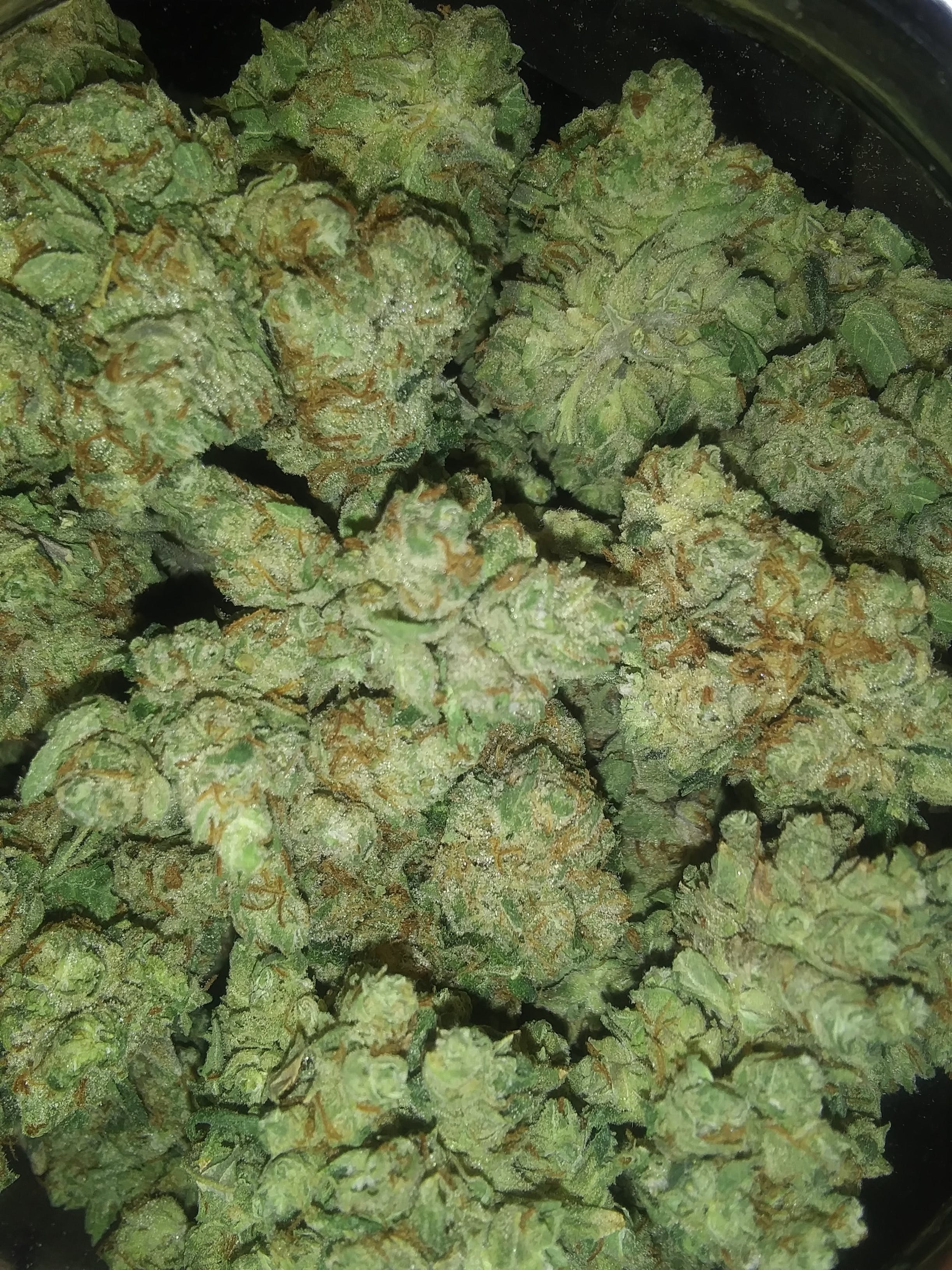 marijuana-dispensaries-1353-west-inyokern-road-suite-i-ridgecrest-rollex-og-kush