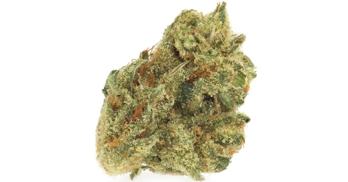 marijuana-dispensaries-8157-wing-ave-el-cajon-rolls-choice-heady-flower