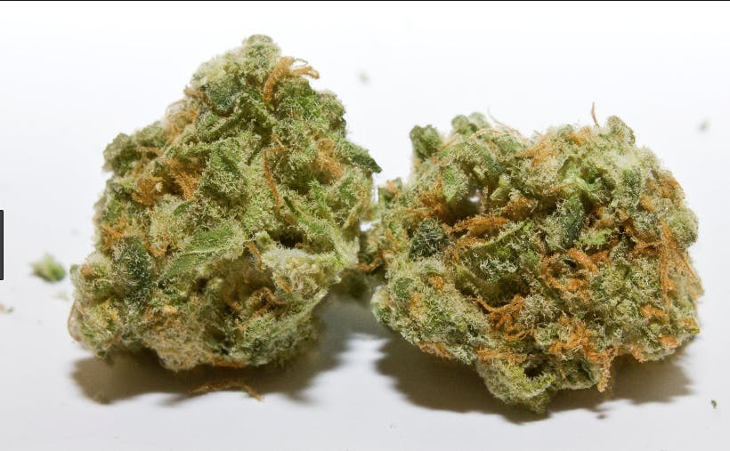 marijuana-dispensaries-1500-esperanza-st-los-angeles-romulan-grapefruit-2499oz-the-plug