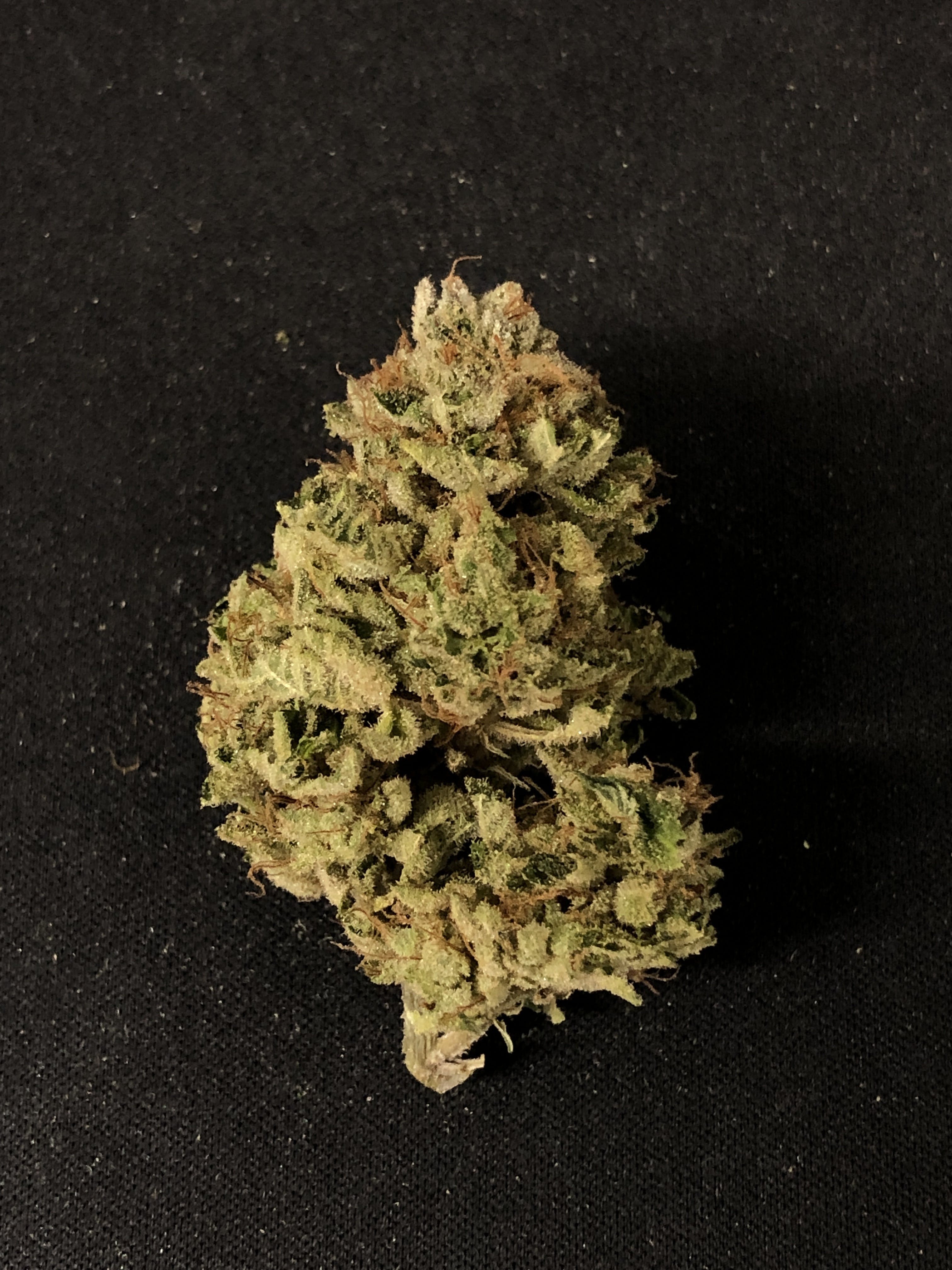 marijuana-dispensaries-600-w-7th-street-evart-romulan-grenade
