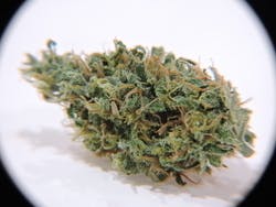 marijuana-dispensaries-68449-perez-rd-suite-1-cathedral-city-roots-sour-diesal