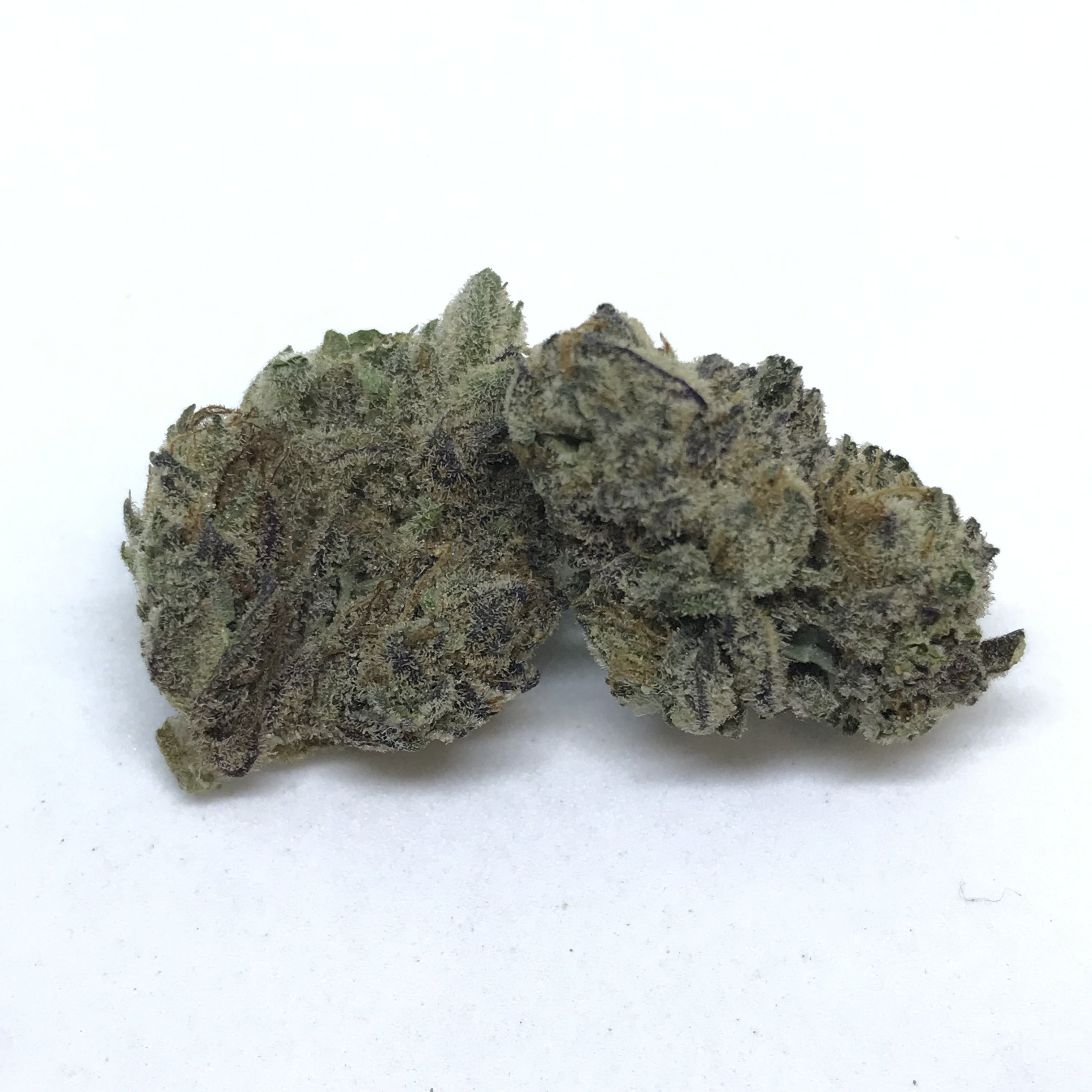 indica-royal-highness-15-86-25thcfun-uncle