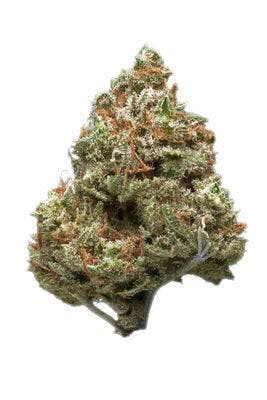 marijuana-dispensaries-1500-esperanza-st-los-angeles-royal-highness-2499-oz-the-plug