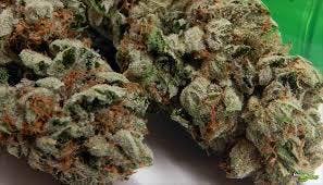 marijuana-dispensaries-66321-pierson-blvd-desert-hot-springs-royal-highness-alien-og-0-6g-preroll