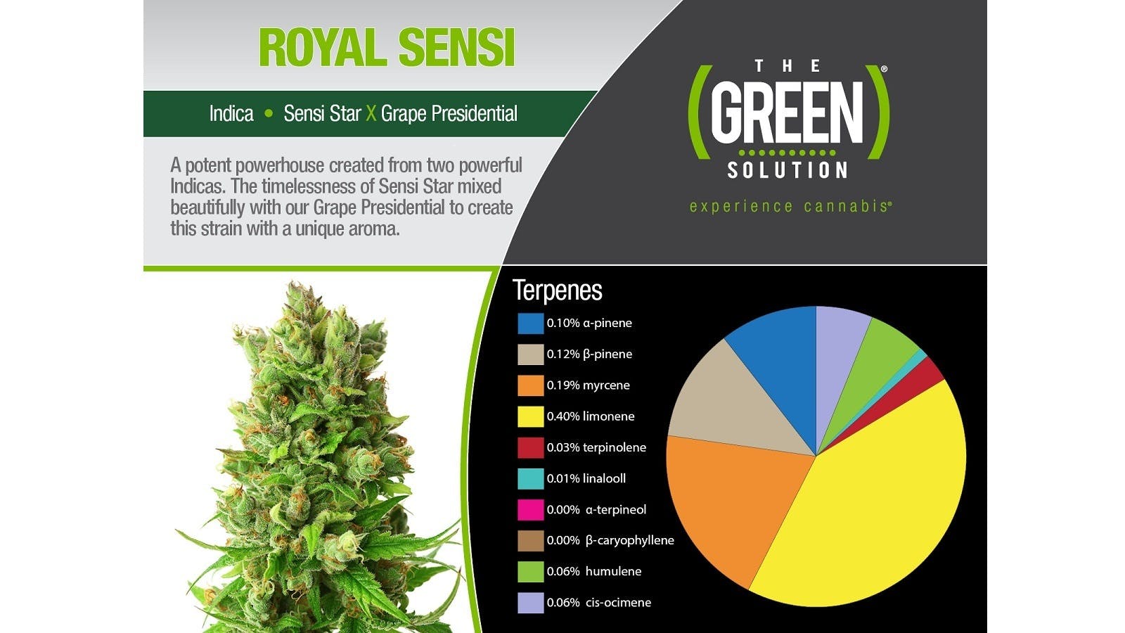 marijuana-dispensaries-the-green-solution-sheridan-in-sheridan-royal-sensi