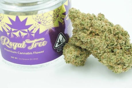 marijuana-dispensaries-401-berry-st-mt-shasta-royal-tree-super-sour-diesel