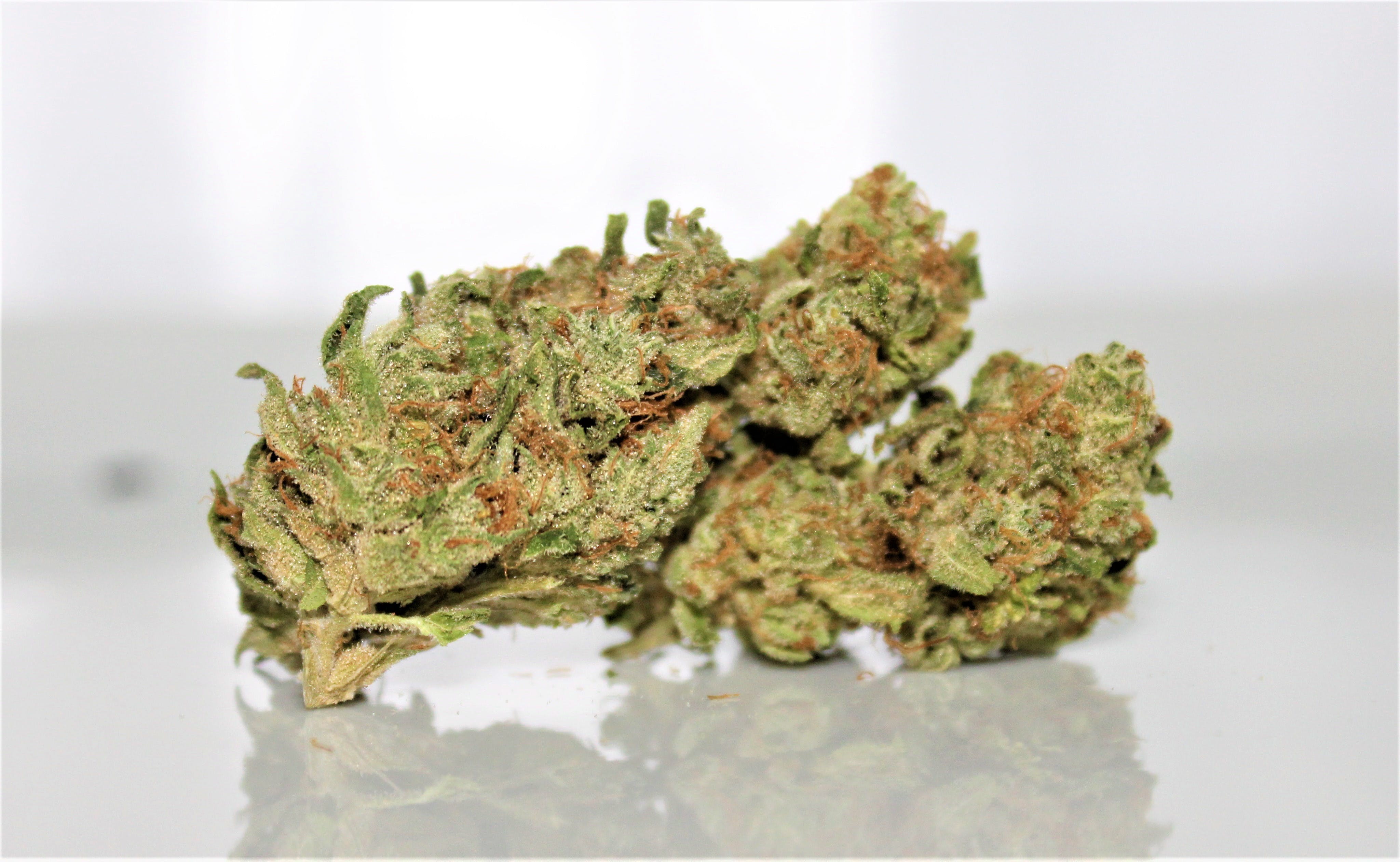 marijuana-dispensaries-the-agrestic-north-in-corvallis-rr-hells-fire-i-23-08-25-thc
