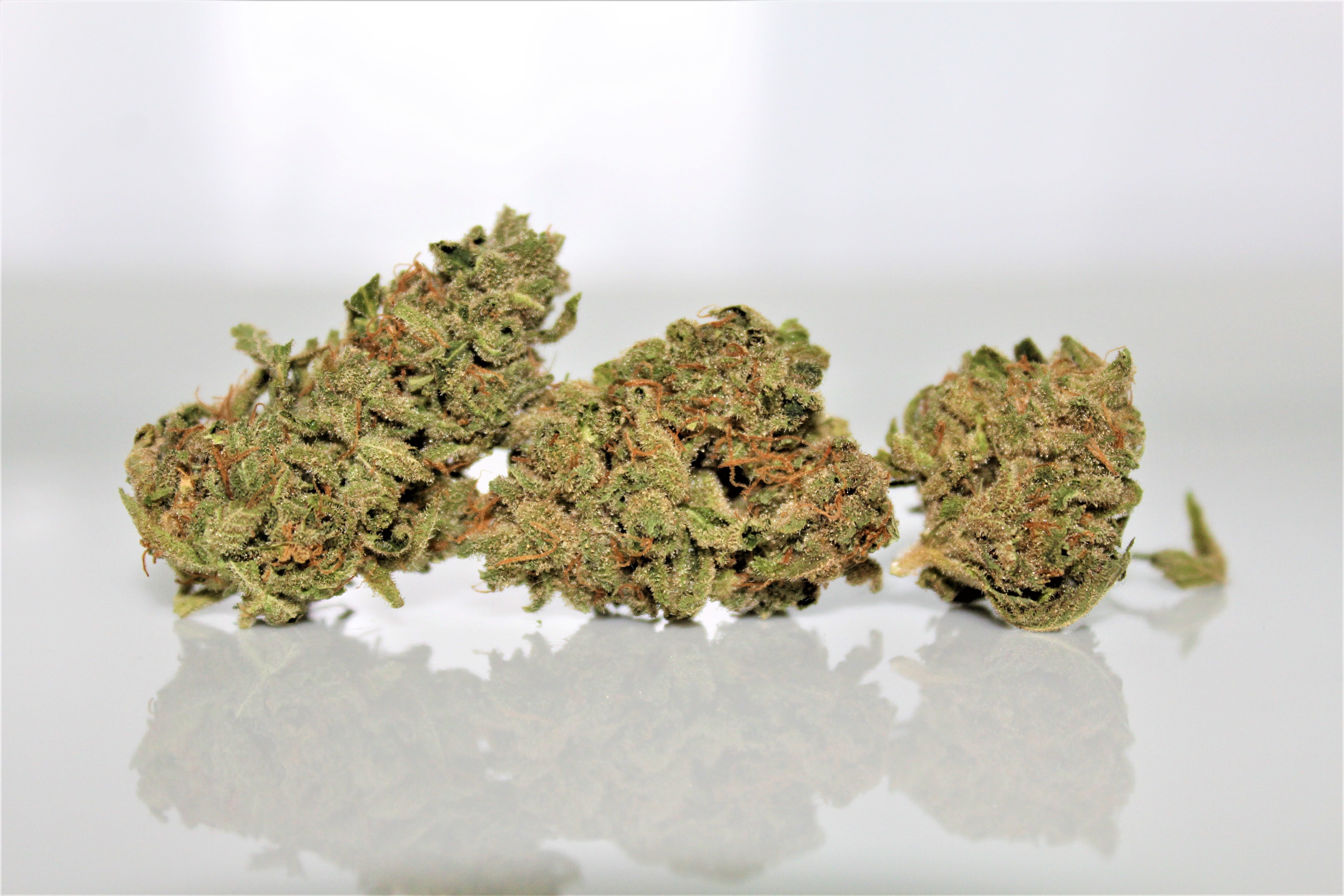 marijuana-dispensaries-the-agrestic-north-in-corvallis-rr-mcgrupp-h-13-28-25-thc